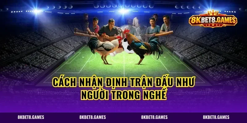 Cách nhận định trận đấu như người trong nghề