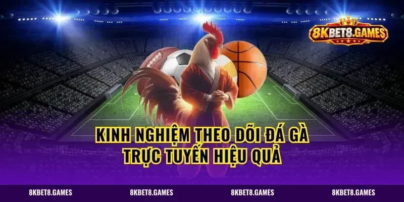 Kinh nghiệm theo dõi đá gà trực tuyến hiệu quả