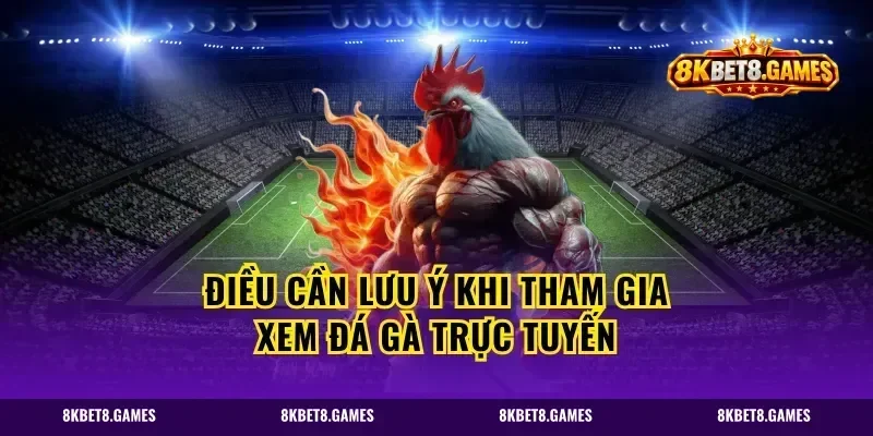 Điều cần lưu ý khi tham gia xem đá gà trực tuyến