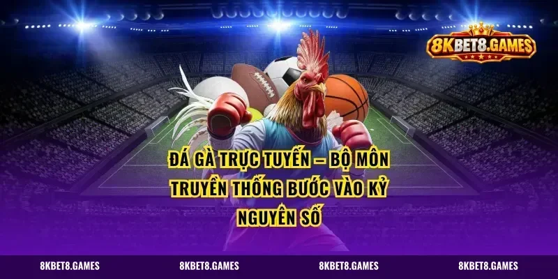 Đá gà trực tuyến – Bộ môn truyền thống bước vào kỷ nguyên số