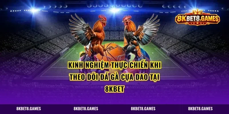 Kinh Nghiệm Thực Chiến Khi Theo Dõi Đá Gà Cựa Dao Tại 8kbet