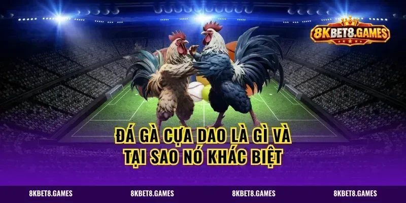 Đá Gà Cựa Dao Là Gì Và Tại Sao Nó Khác Biệt