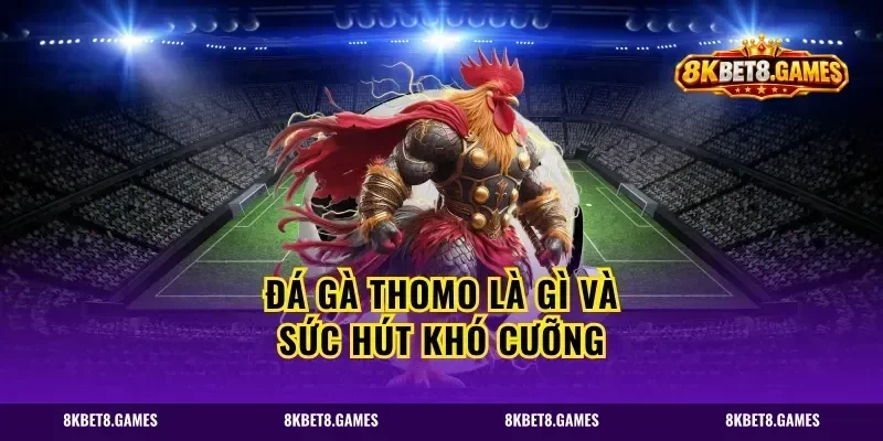 Đá gà Thomo là gì và sức hút khó cưỡng