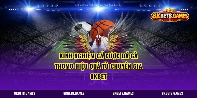 Kinh nghiệm cá cược đá gà Thomo hiệu quả từ chuyên gia 8kbet