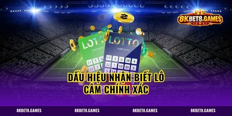 Dấu hiệu nhận biết lô câm chính xác