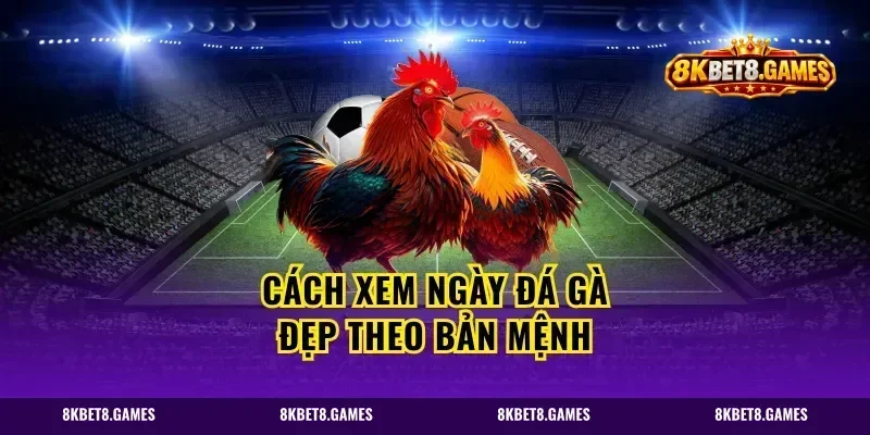 Cách xem ngày đá gà đẹp theo bản mệnh