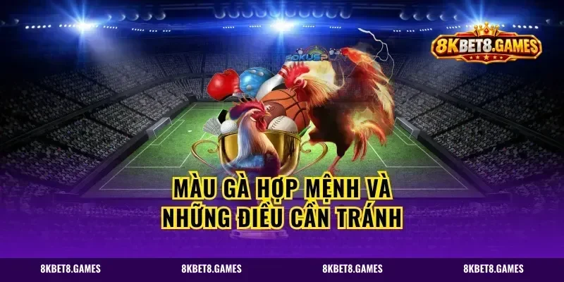 Màu gà hợp mệnh và những điều cần tránh