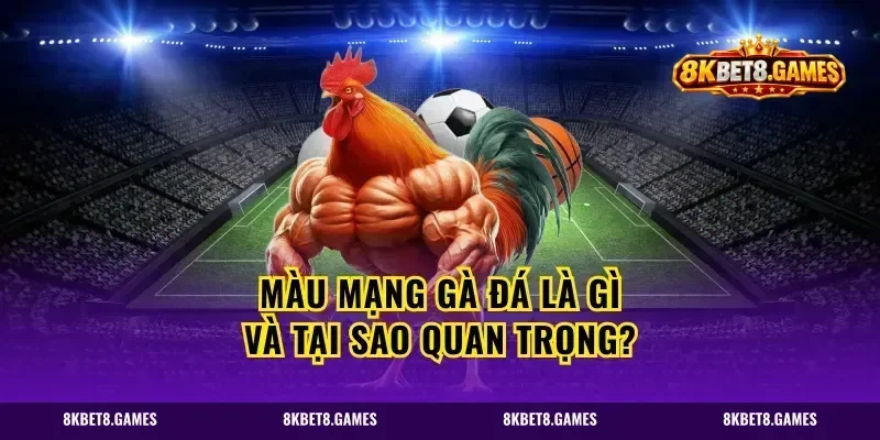 Màu mạng gà đá là gì và tại sao quan trọng?