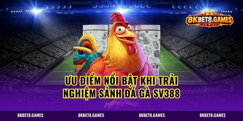 Ưu Điểm Nổi Bật Khi Trải Nghiệm Sảnh Đá Gà SV388