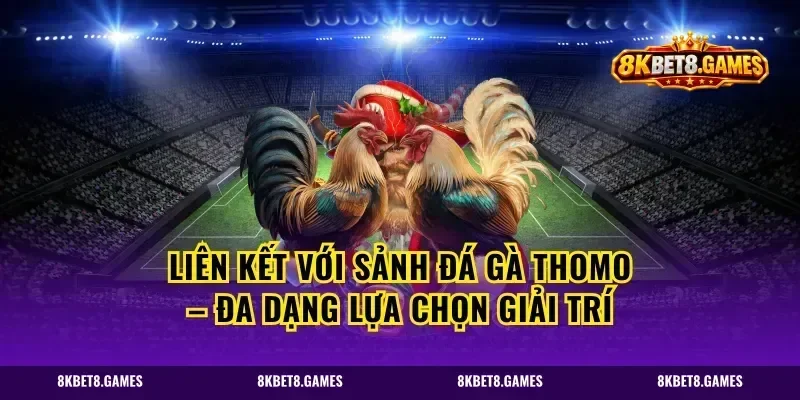 Liên Kết Với Sảnh Đá Gà Thomo – Đa Dạng Lựa Chọn Giải Trí