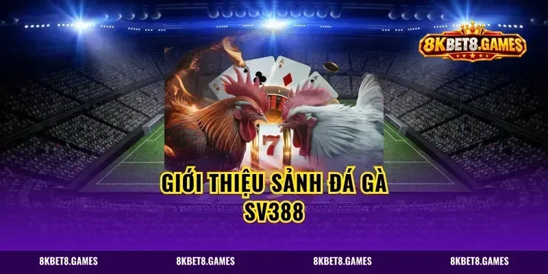 Giới Thiệu Sảnh Đá Gà SV388