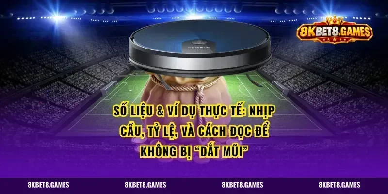 Số liệu & ví dụ thực tế: nhịp cầu, tỷ lệ, và cách đọc để không bị “dắt mũi”
