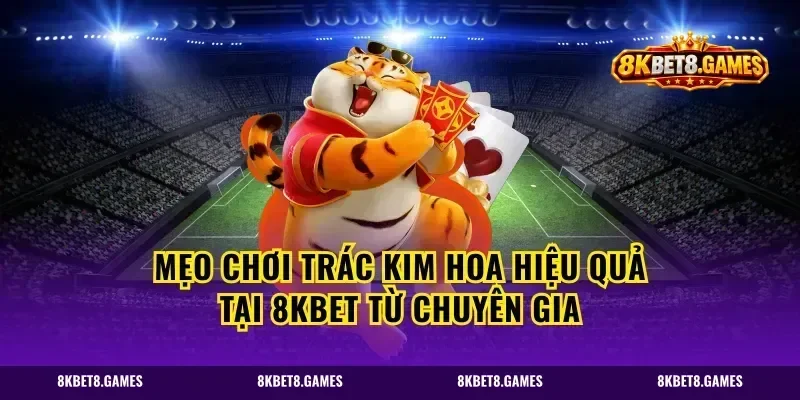 Mẹo chơi Trác Kim Hoa hiệu quả tại 8kbet từ chuyên gia