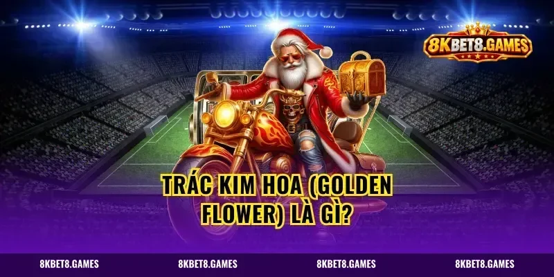 Trác Kim Hoa (Golden Flower) là gì?